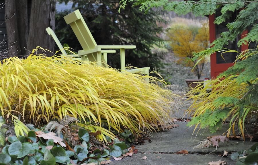 high-impact obsessions: utilizing gold and variegated foliage, with ken druse