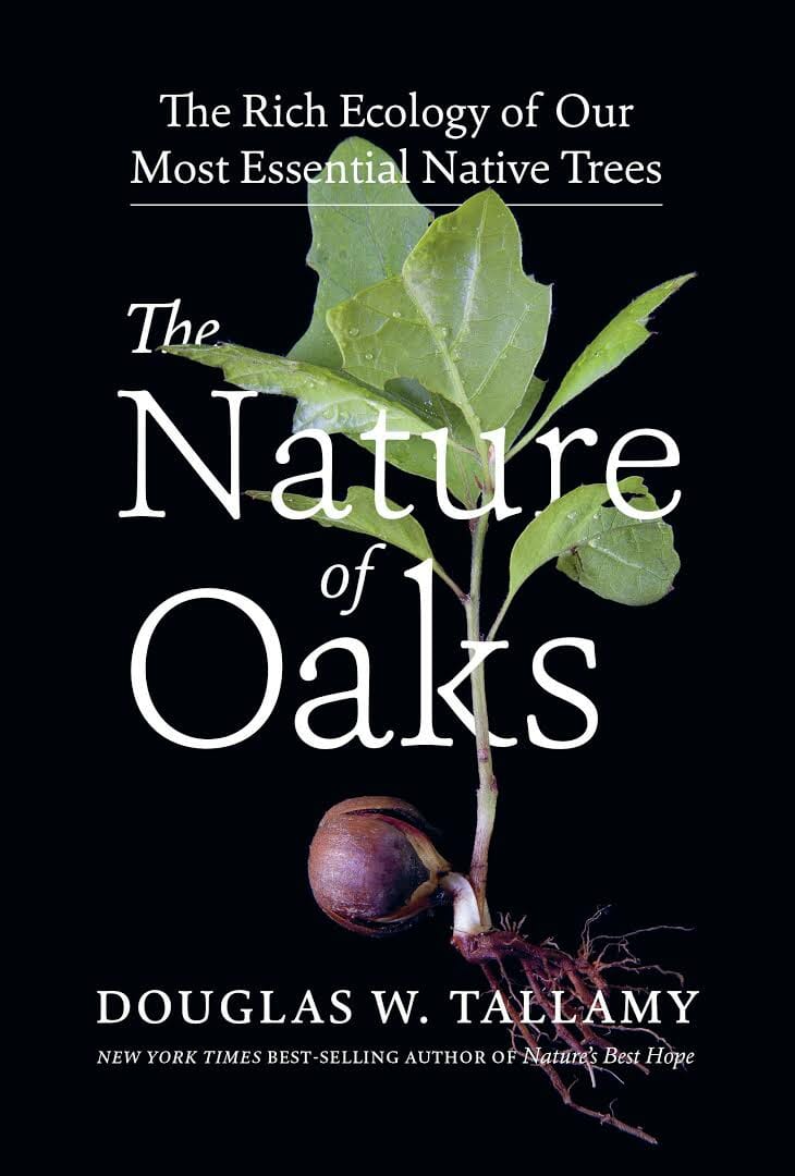 oaks: mainly primarily probably the most extraordinarily environment friendly plant of all, with doug tallamy