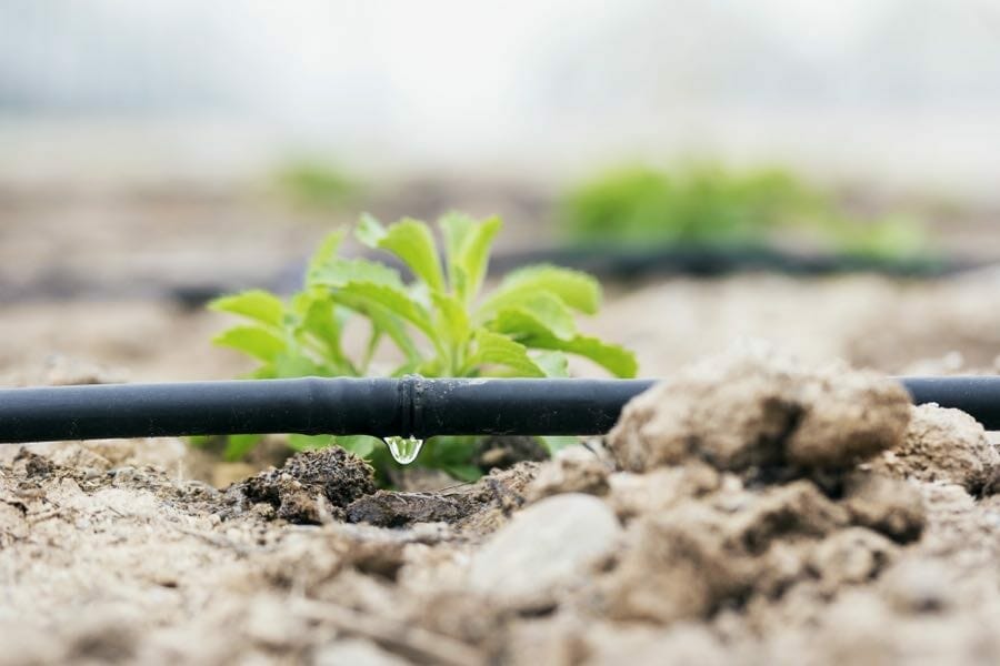 watering the yard (not the crops), a 101 with daryl beyers